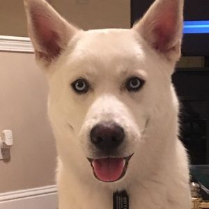 Meet your Posher, Ersan